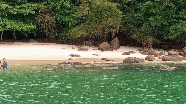 ilha-guaiba
